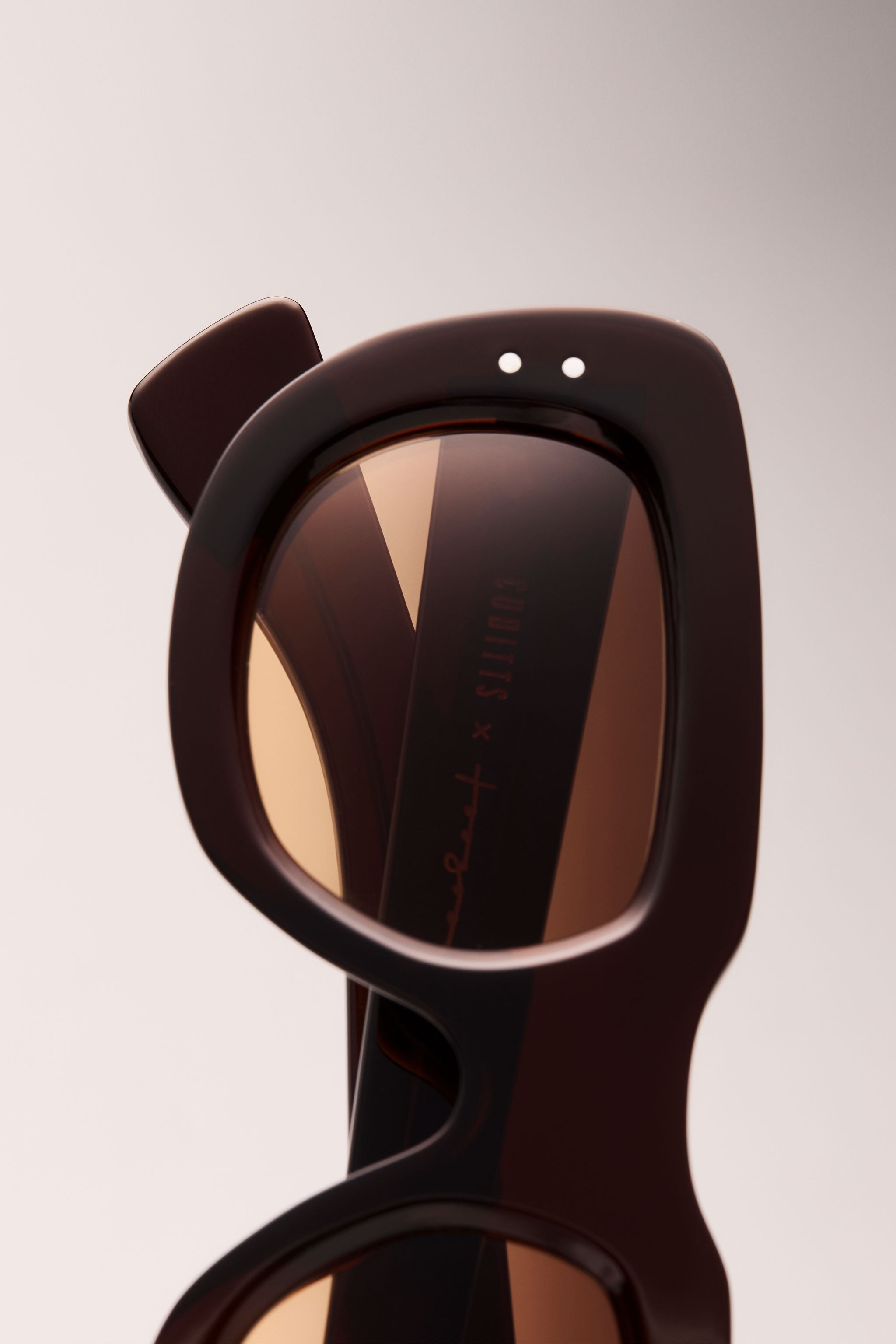 THE TAILOR SUNGLASSES / MOLASSES